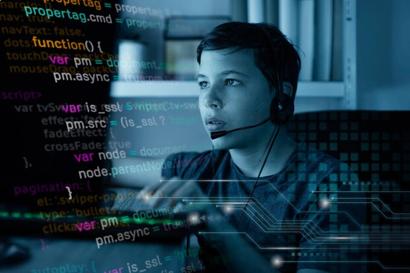 Web Development